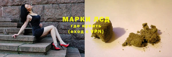 ГАЛЛЮЦИНОГЕННЫЕ ГРИБЫ Алзамай