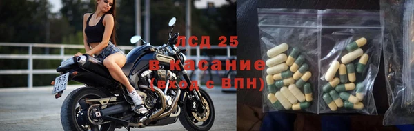 ГАЛЛЮЦИНОГЕННЫЕ ГРИБЫ Алзамай